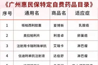 保險之家 保險代理人的網上家園